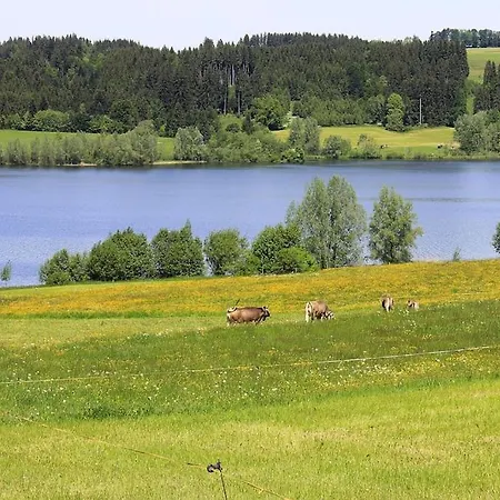 Holiday Flat, Oy-Mittelberg